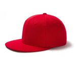 Snapback Cap Factory - OEM/ODM Custom Flat Brim Hat