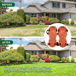 Lawn Aerator Tool Factory - OEM/ODM Custom Spike Shoe Aerator