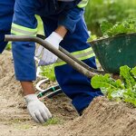 Cotton Safety Gloves Factory - OEM/ODM Custom Work Gloves