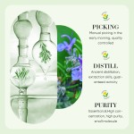 精油源头工厂 - 玫瑰洋甘菊薰衣草代工