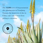 BB霜生产厂家 - 防水芦荟代工