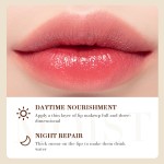 Lip Balm Manufacturer - OEM Coconut Oil Sleeping