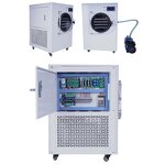 Vacuum Lyophilizer Factory - Automatic Low Price Vegetables Fruits