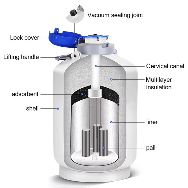 Dewar Container Manufacturer - 2L-100L Secure Liquid Nitrogen Storage