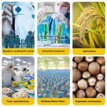 High-pressure Sterilization Pot Manufacturer - Laboratory Grade Fast Efficient