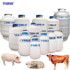 Liquid Nitrogen Tank Factory - YDS-50B 50L Efficient Thermal Insulation