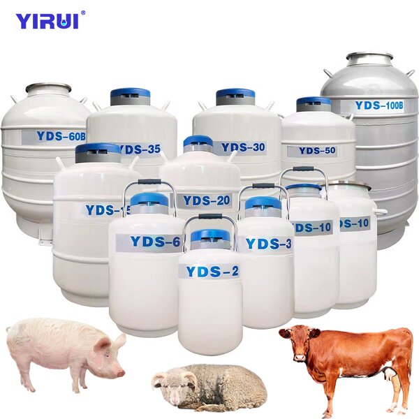 Liquid Nitrogen Tank Factory - YDS-50B 50L Efficient Thermal Insulation