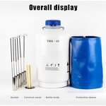 Liquid Nitrogen Bottle Factory - 10 Liter Cryogenic Cow Semen Storage