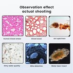 Biological Microscope Factory - Clinical Binocular Optical LED Blood