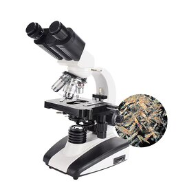 Trinocular Microscope Factory - Kaisi 36565 Adjustable Light Stereo
