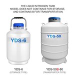 Liquid Nitrogen Storage Tank Factory - 10L Caliber 80 Cryogenic Lab