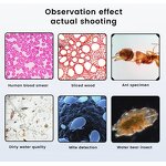 Digital Microscope Factory - Monocular Electronic Biological Video Microscope