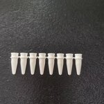 PCR Tubes Manufacturer - 0.1/0.2ml With Attached Cap Lab