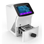 Gene Expression Analysis