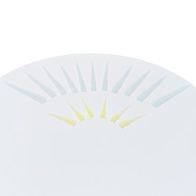 Filter Tip Supplier - 300ul Sterile Universal Pipette Tips