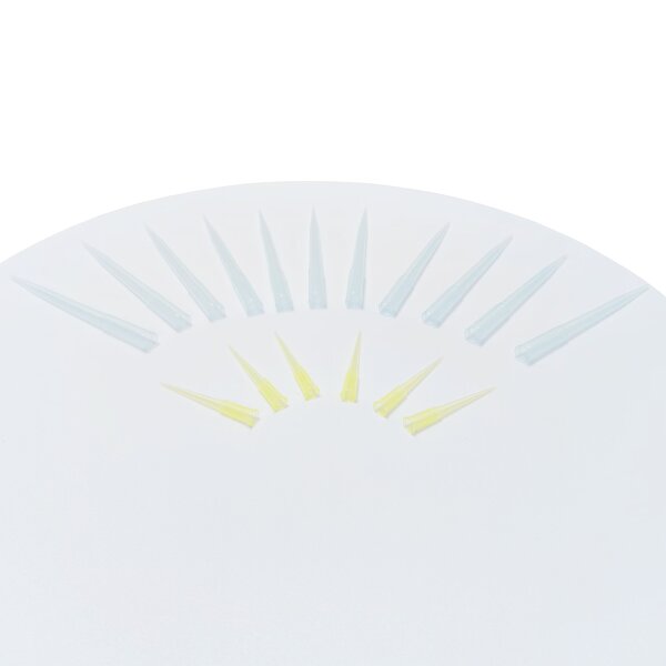 Filter Pipette Tips Manufacturer - 300ul Disposable Transparent Sterile