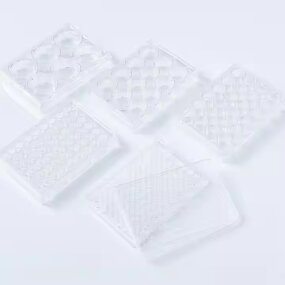 Cell Culture Plate Supplier - 6-96 Well PP Tissue Culture Plate