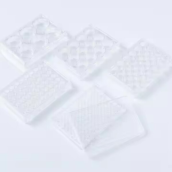 Cell Culture Plate Supplier - 6-96 Well PP Tissue Culture Plate