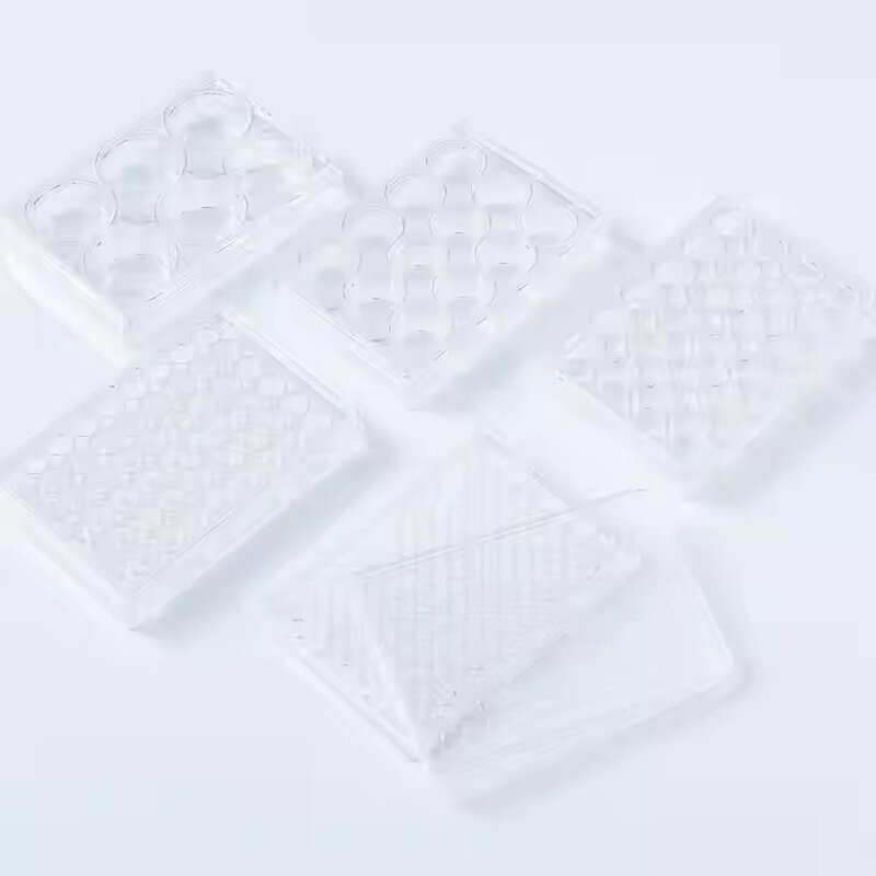 Cell Culture Plate Supplier - 6-96 Well PP Tissue Culture Plate
