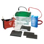 Electrophoresis Tank Manufacturer - Fast Transfer Operation EPT-BT02