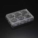 Cell Culture Plate Supplier - 6-96 Well PP Tissue Culture Plate