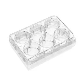 Petri Dish Manufacturer - 35mm-150mm Sterile Plastic Culture Dish