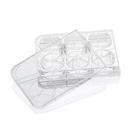 Petri Dish Manufacturer - 35mm-150mm Sterile Plastic Culture Dish