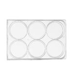 Petri Dish Manufacturer - 35mm-150mm Sterile Plastic Culture Dish
