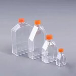 Tissue Culture Flask Manufacturer - 25-225cm2 Plastic Bottles Cell