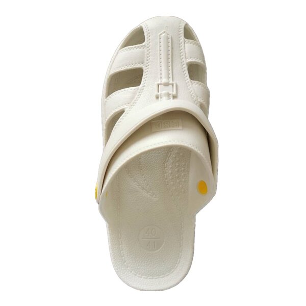 ESD Slipper Factory - OEM Anti-static Safety Shoes Cleanroom