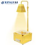 Portable Heat Lamp Factory - OEM Stainless Steel Electric Food Warmer