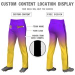 Baseball Pants Factory - Best Quality Customized Stylish Gradient