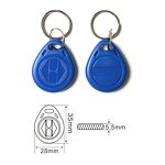 Rewritable RFID Chip Factory - T5577 Blank Key Tag 125 khz Ring