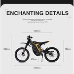 Electric Ride Pro Manufacturer - Best Selling for E Ride Pro SR