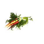 Wired Twist Ties Supplier - OEM 8" Branded Logo Printing