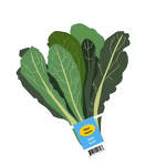 Vegetable Label Twist Manufacturer - OEM Custom Printing Band Tag