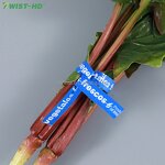 Kraft Paper Twist Ties Factory - OEM 300M/500M Roll Vine Ties