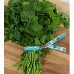 Wired Twist Ties Supplier - OEM 8" Branded Logo Printing