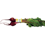 Paper Label Twist Tie Supplier - OEM LOGO Printed Fruit Vegetable