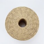 Craft Paper Bag Manufacturer - OEM White Brown String Twisted