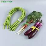 Kraft Paper Twist Ties Factory - OEM 300M/500M Roll Vine Ties