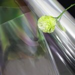 Wrap Roll Factory - OEM Transparent BOPP Stretch Film