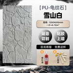 BOPP Wrap Rolls Supplier - OEM Colored Moisture Proof Food Grade