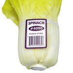 Garden Tying Tape Manufacturer - OEM 1.1cm30m PE Durable Tape