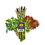 Vegetable Label Twist Manufacturer - OEM Custom Printing Band Tag