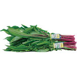 Paper Label Twist Tie Supplier - OEM LOGO Printed Fruit Vegetable