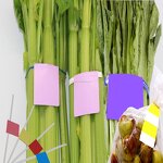 Garden Tying Tape Manufacturer - OEM 1.1cm30m PE Durable Tape