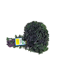 Paper Label Twist Tie Supplier - OEM LOGO Printed Fruit Vegetable