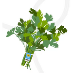 Vegetable Label Twist Manufacturer - OEM Custom Printing Band Tag