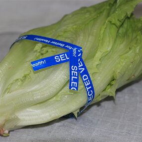 Wire Tying Tool Manufacturer - OEM 5m5mm Plastic Coated Tool